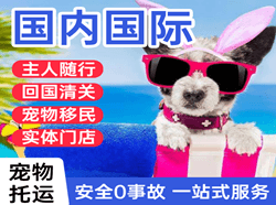 温州空运地址国际宠物托运 【国